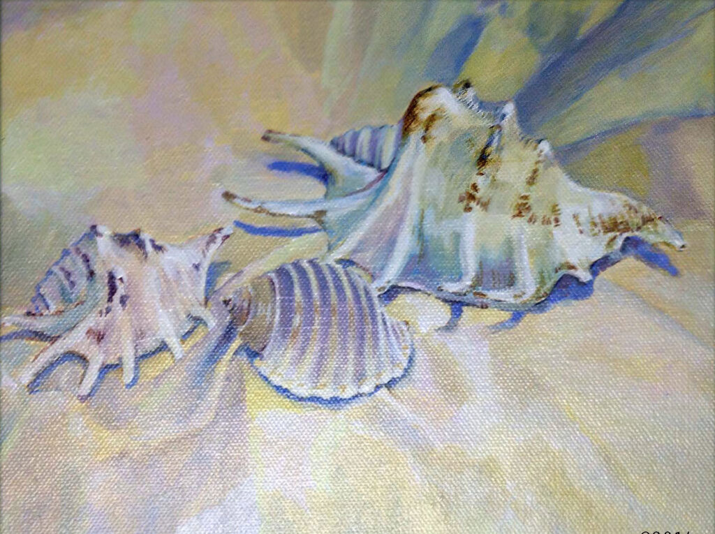 Shells