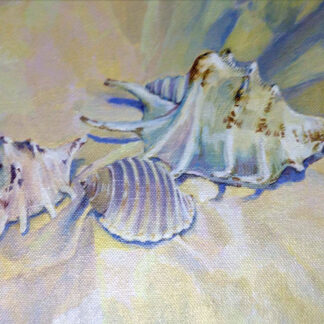 Shells