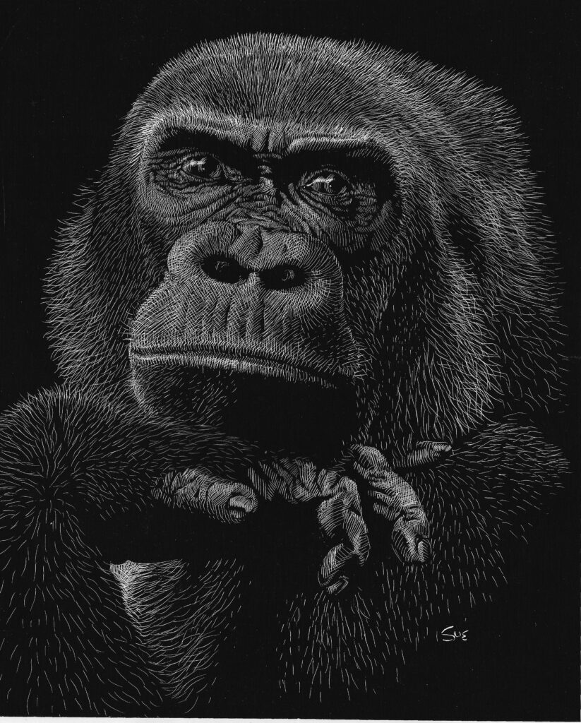 Gorilla